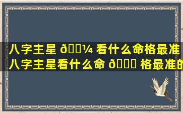 八字主星 🌼 看什么命格最准「八字主星看什么命 🍁 格最准的」